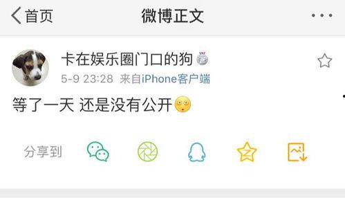 微信吃瓜爆料付费,付费解锁独家内幕，揭秘娱乐圈幕后真相